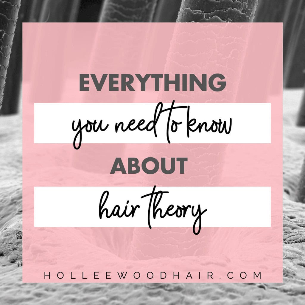 There's so much more to hairstyling than you realize. Find out everything you need to know about basic hair theory with this ultimate guide.